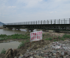 �ϳ�ʽ����