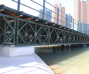 �ϳ�ʽ����